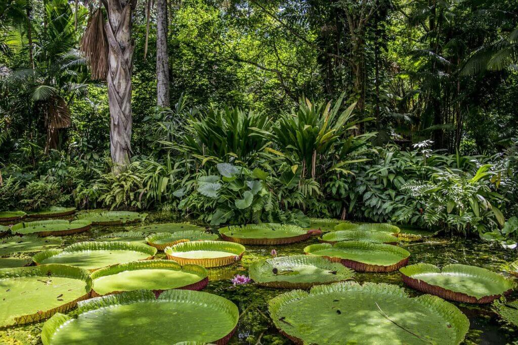 Lugares para visitar en Colombia